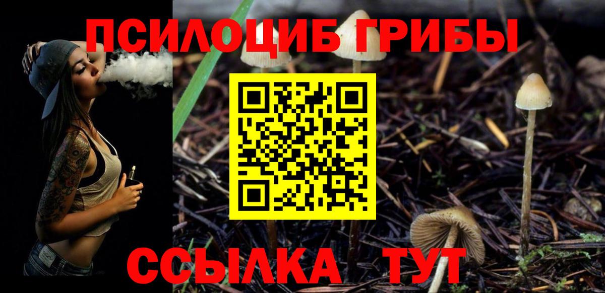 Бийск  Псилоцибиновые грибы GOLDEN TEACHER  Вход с VPN  Псилоцибиновые грибы прущие грибы 
